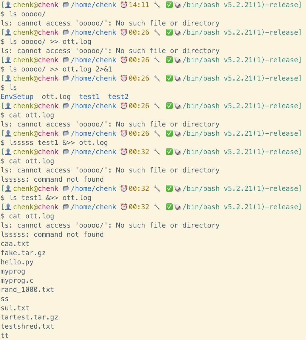 image-20250208003322444